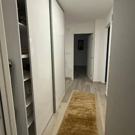 D * Belgrade